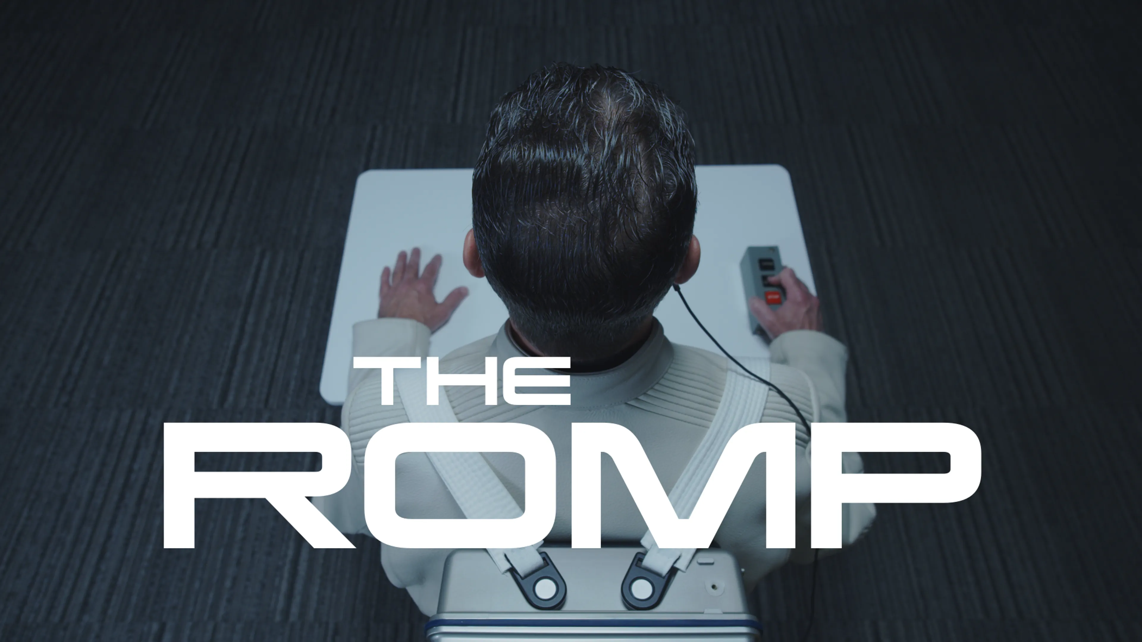 The Romp poster